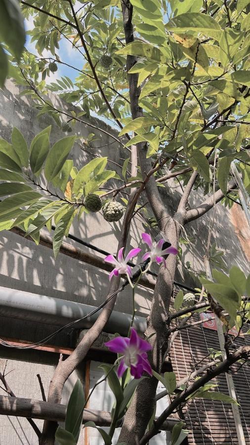 Homestay Da Nang Full House Экстерьер фото